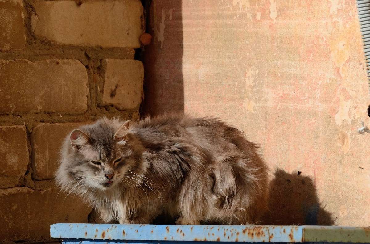 ���������� �1 ����� S  �� PhotoGeek.ru #�������� ��� #�������