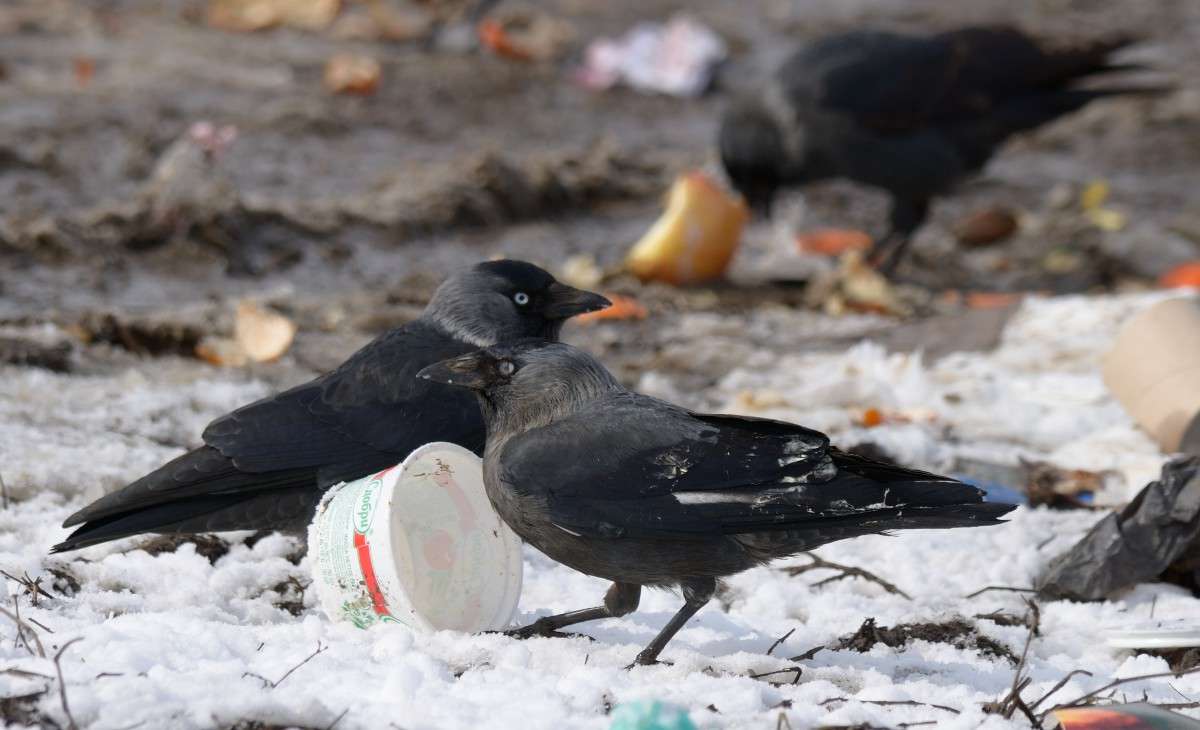 ������������ ����� S  �� PhotoGeek.ru #�������� ��� #������ ��� ������� #��������