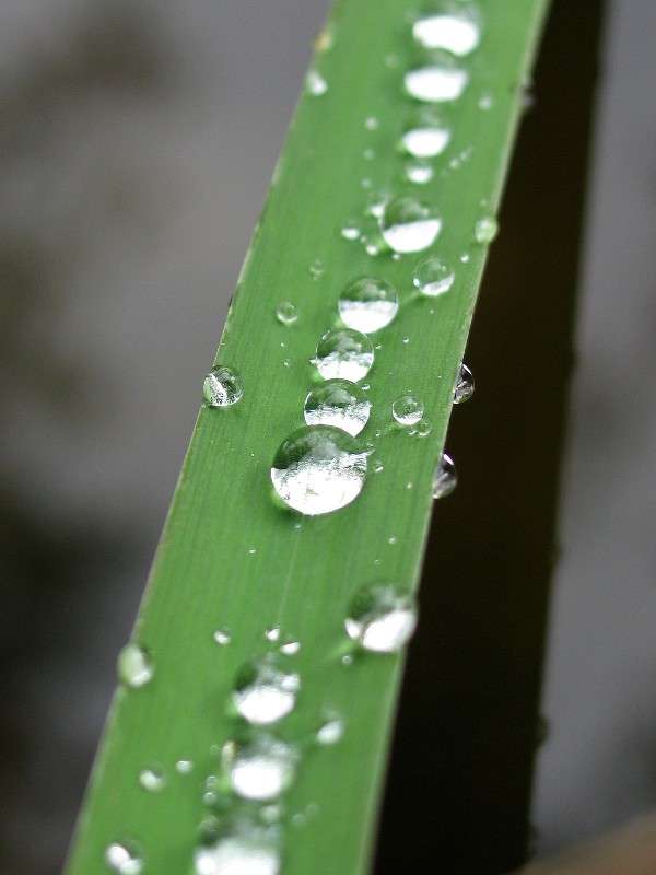 ����� ����� S  �� PhotoGeek.ru #������ ��� �������