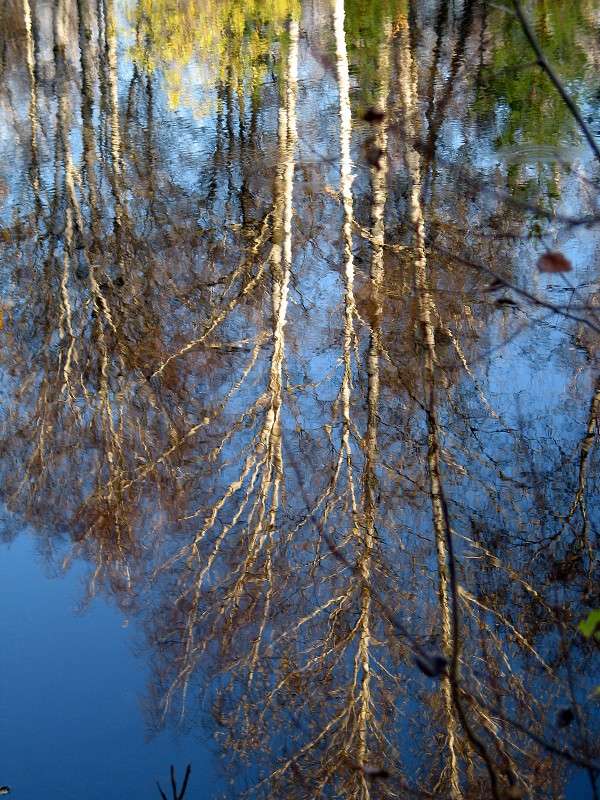 ������� ����� S  �� PhotoGeek.ru #������ ��� �������