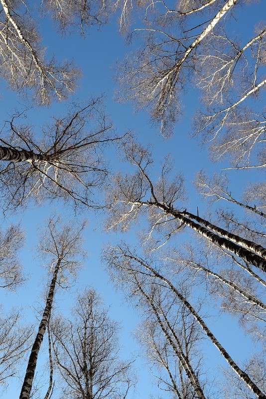 ... ����� S  �� PhotoGeek.ru #������ ��� �������