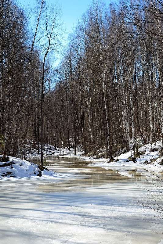 ... ����� S  �� PhotoGeek.ru #������ ��� �������