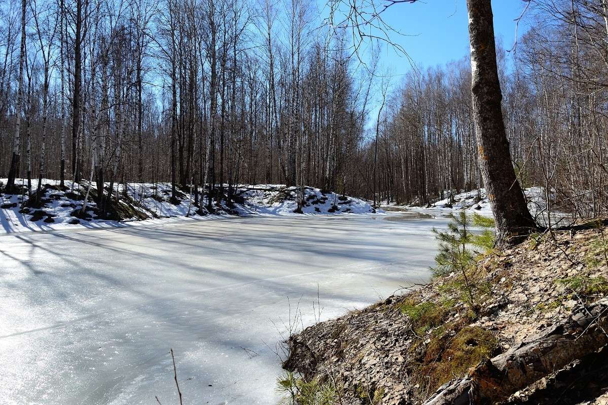 ... ����� S  �� PhotoGeek.ru #������ ��� �������