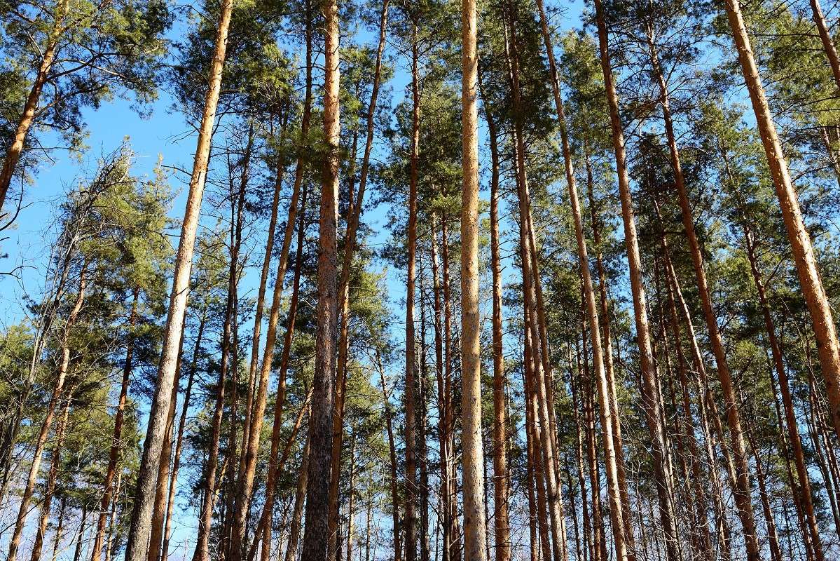 ... ����� S  �� PhotoGeek.ru #������ ��� �������