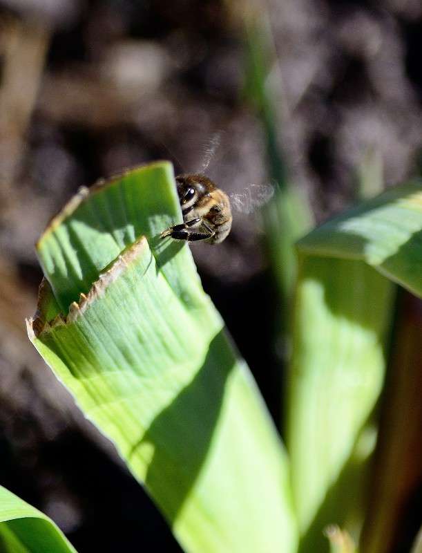 ����������� ������� ����� S  �� PhotoGeek.ru #�������� ���