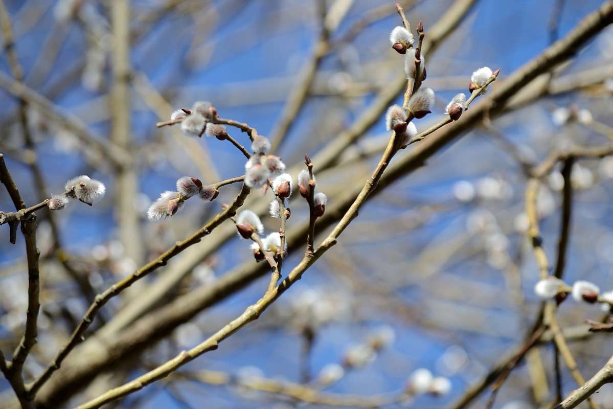 ����� �������� ����� S  �� PhotoGeek.ru #������ ��� �������