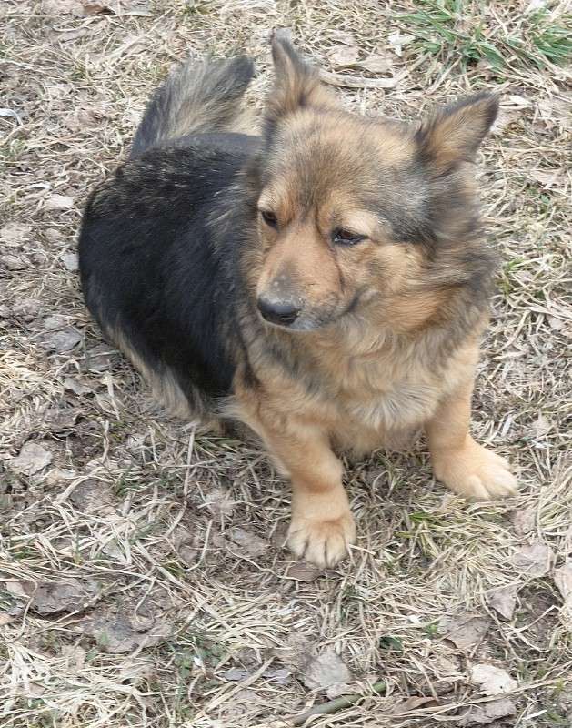 ... ����� S  �� PhotoGeek.ru #�������� ��� #�������