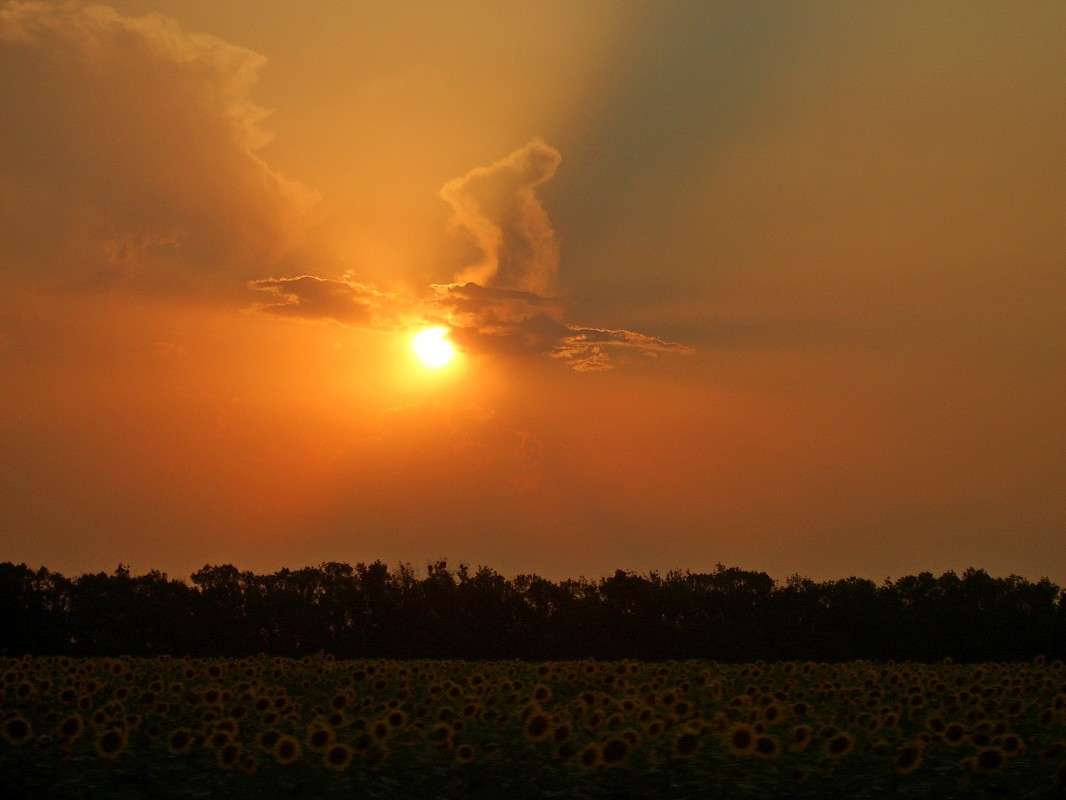 "����! ����! �������� ������ � ���� ���������!" ����� S  �� PhotoGeek.ru #������ ��� ������� #���������