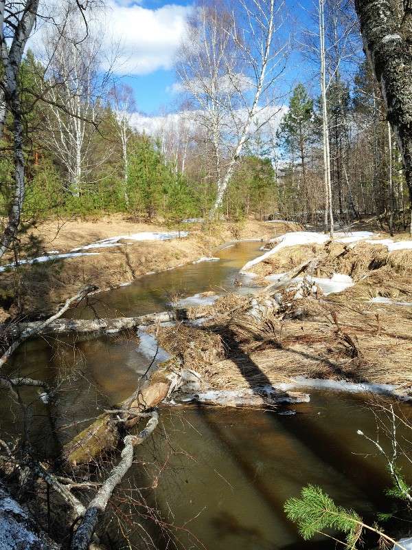 ... ����� S  �� PhotoGeek.ru #������ ��� �������