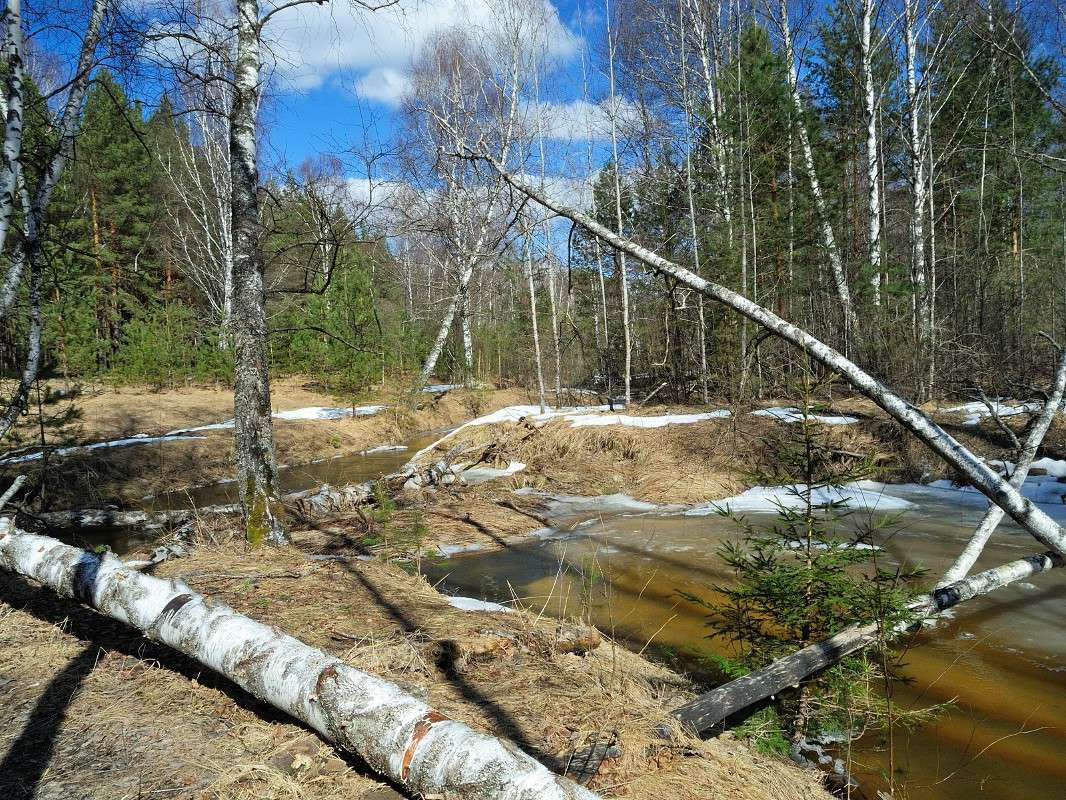 ����� ������! ����� S  �� PhotoGeek.ru #������ ��� �������