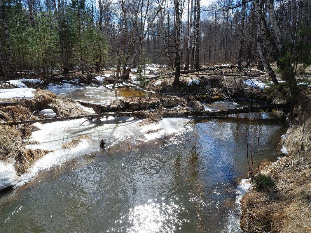 ... ����� S  �� PhotoGeek.ru #������ ��� �������