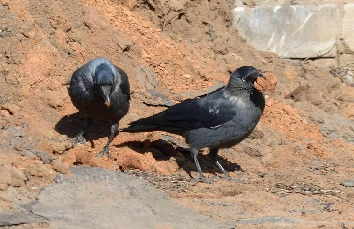 ������� ����� S  �� PhotoGeek.ru #�������� ��� #������ ��� ������� #��������