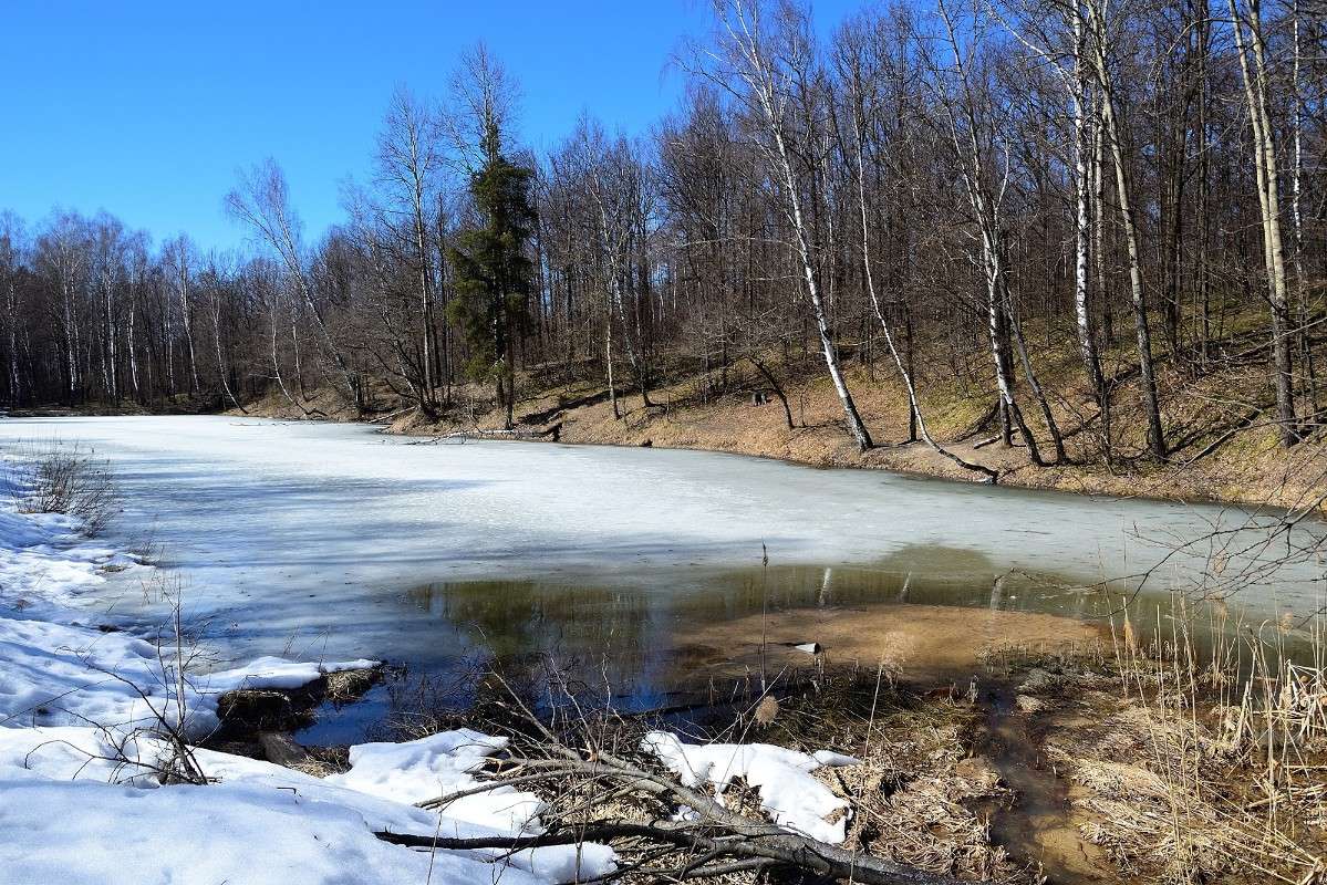 ... ����� S  �� PhotoGeek.ru #������ ��� �������