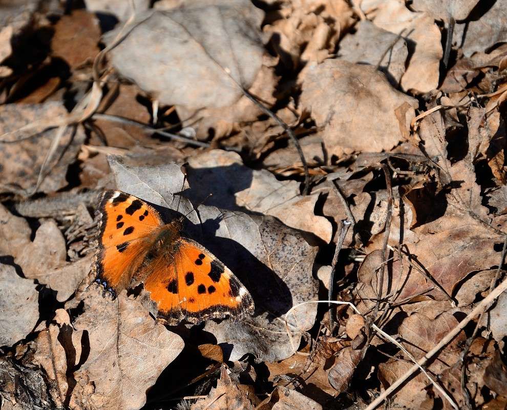 ... ����� S  �� PhotoGeek.ru #�������� ���