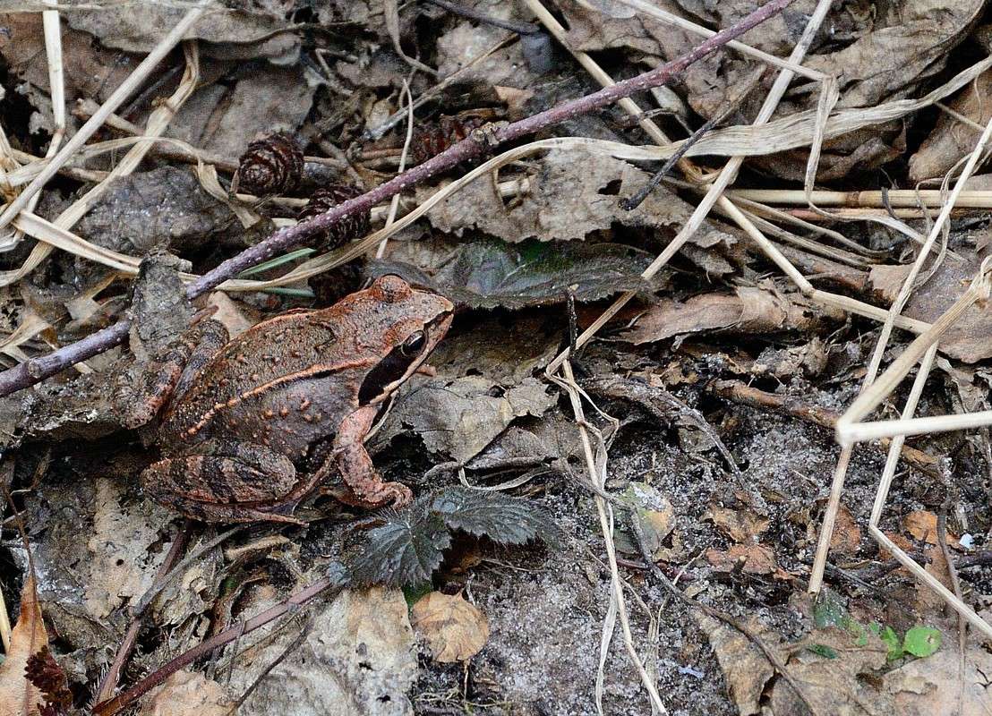 ������� ����� S  �� PhotoGeek.ru #�������� ���