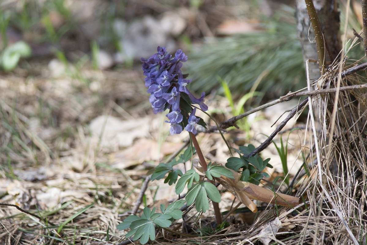 ���������! ����� S  �� PhotoGeek.ru #������ ��� �������