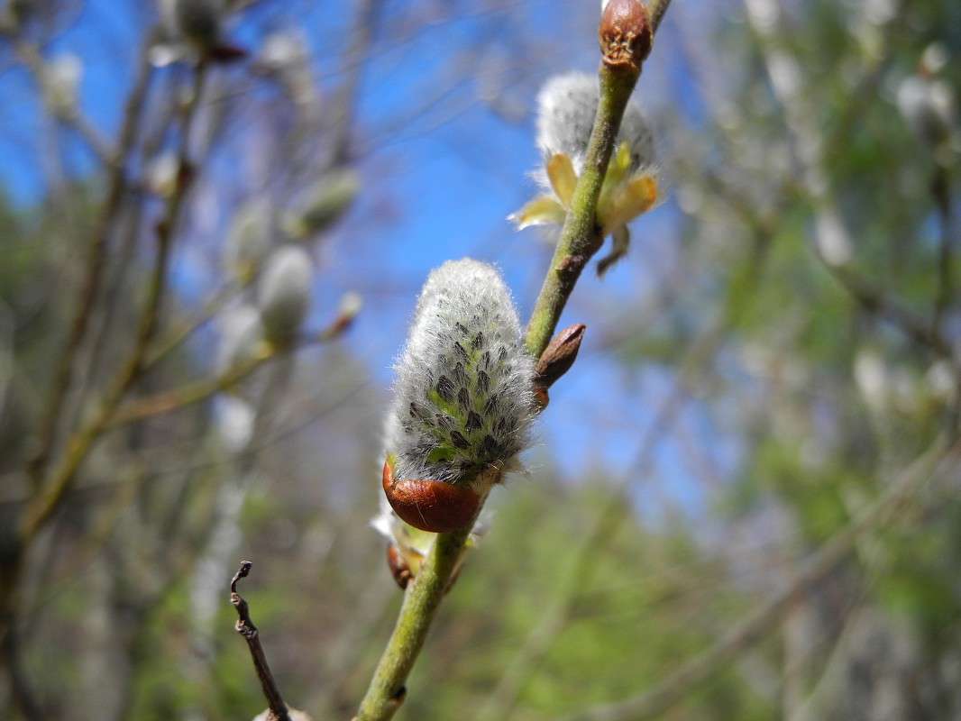 ����� ����� S  �� PhotoGeek.ru #����� #������ ��� ������� #����� ��������������