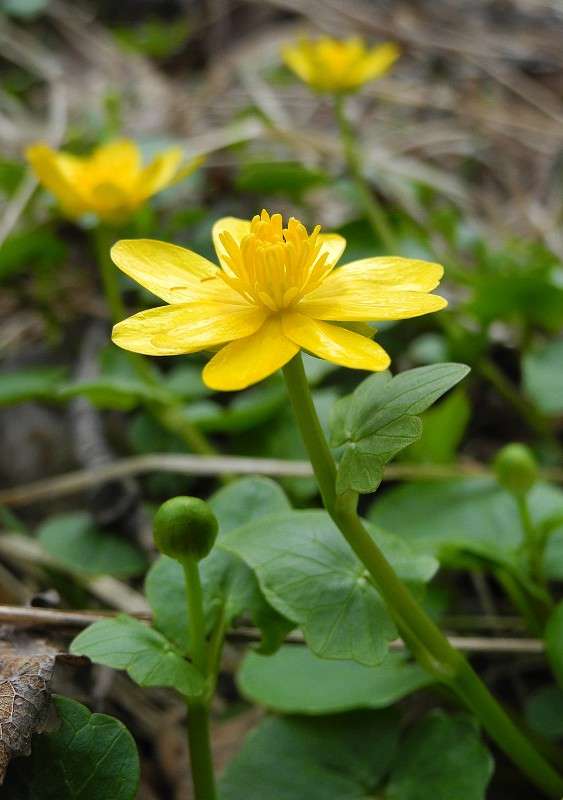 ... ����� S  �� PhotoGeek.ru #������ ��� �������