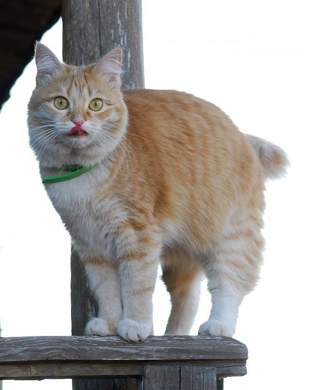 ������ ����� S  �� PhotoGeek.ru #�������� ���