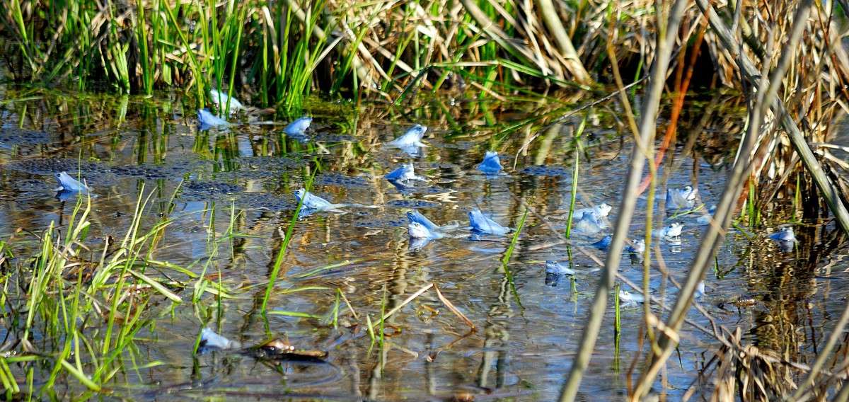 ������� ����� S  �� PhotoGeek.ru #�������� ��� #������ ��� �������