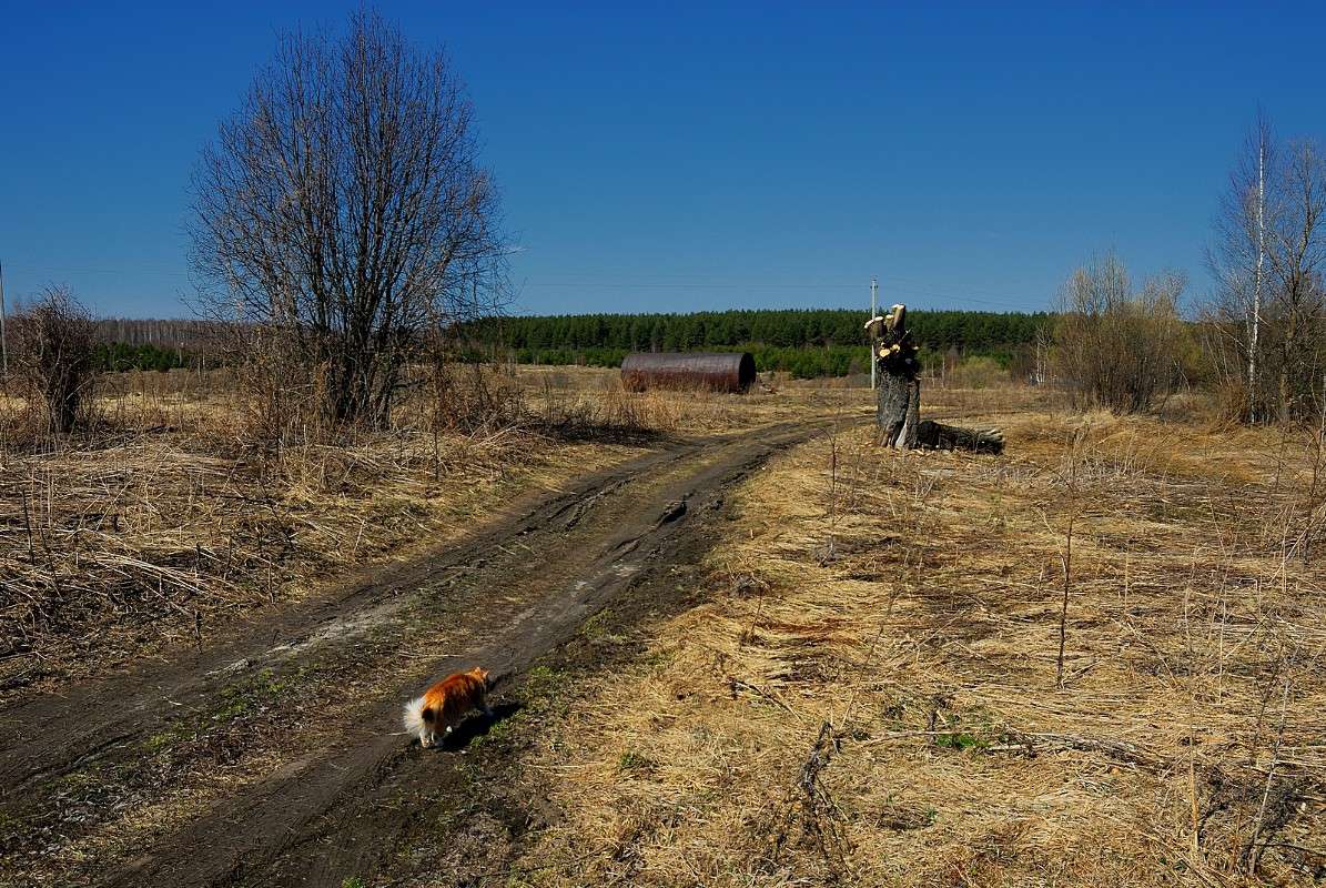 ������� ����� ����� S  �� PhotoGeek.ru #�������� ��� #������ ��� �������