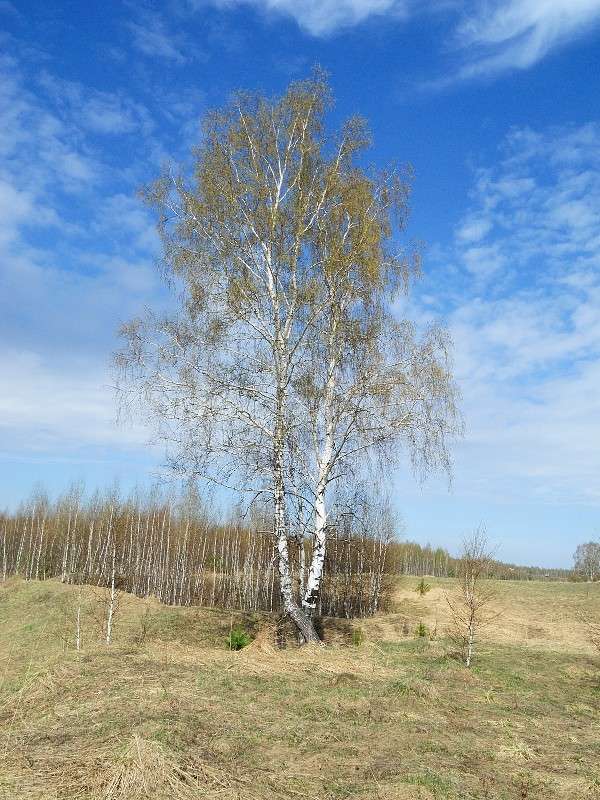 ... ����� S  �� PhotoGeek.ru #������ ��� �������