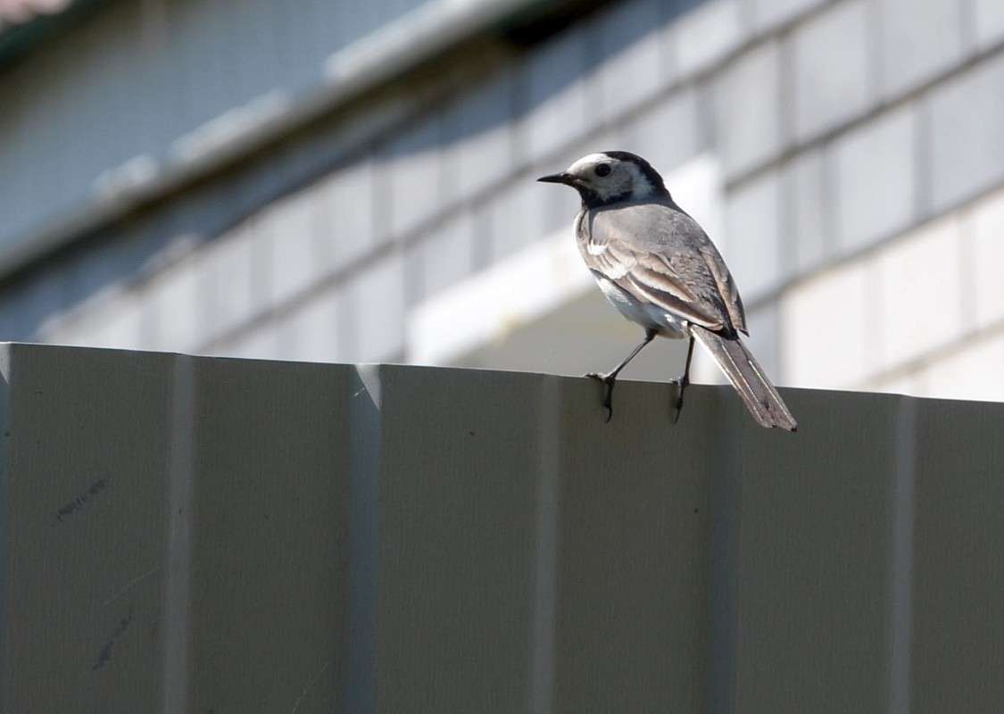 ... ����� S  �� PhotoGeek.ru #�������� ��� #����� ��� ��� ���������