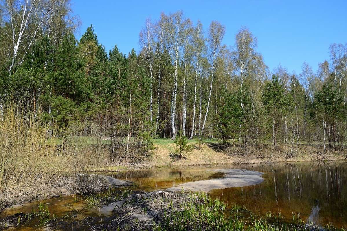 ... ����� S  �� PhotoGeek.ru #������ ��� �������