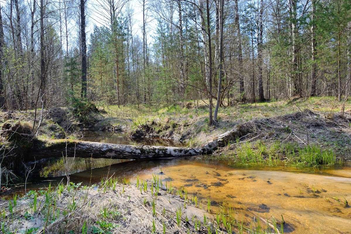 ... ����� S  �� PhotoGeek.ru #������ ��� �������