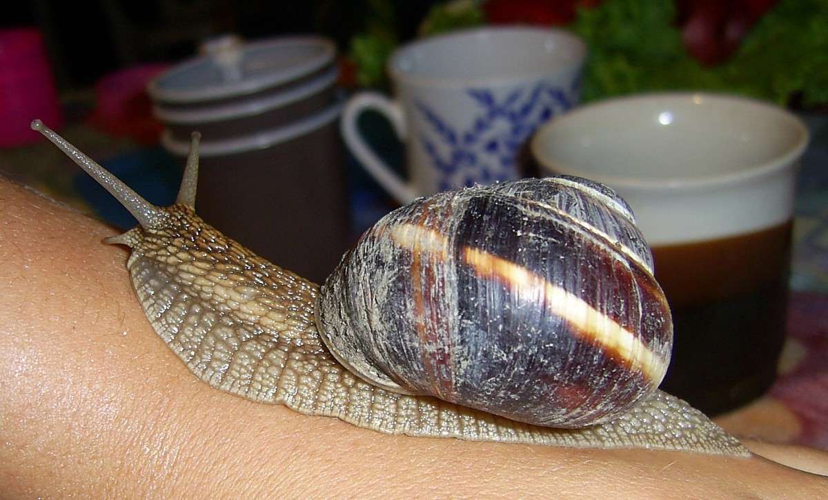 ... ����� S  �� PhotoGeek.ru #�������� ���