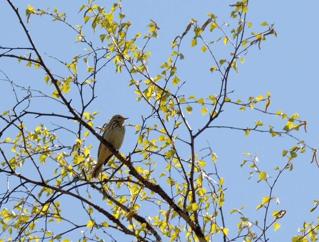 ... ����� S  �� PhotoGeek.ru #�������� ���