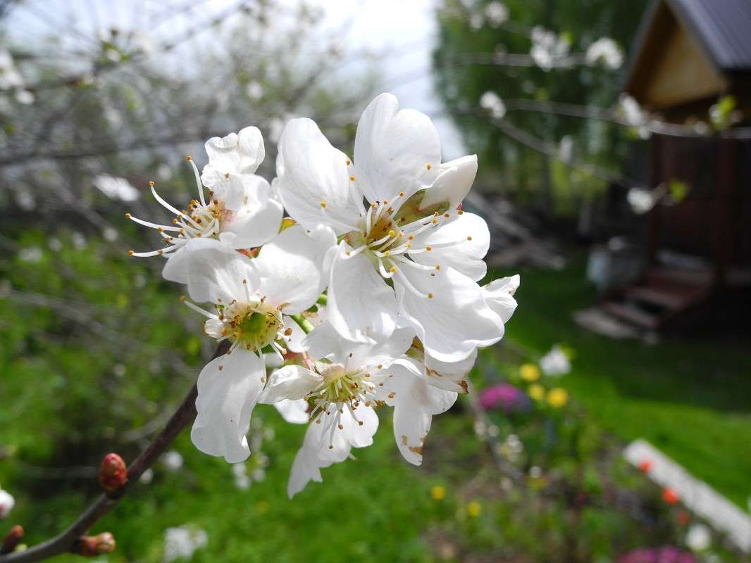 ������ ����� S  �� PhotoGeek.ru #������ ��� ������� #����� ��������������