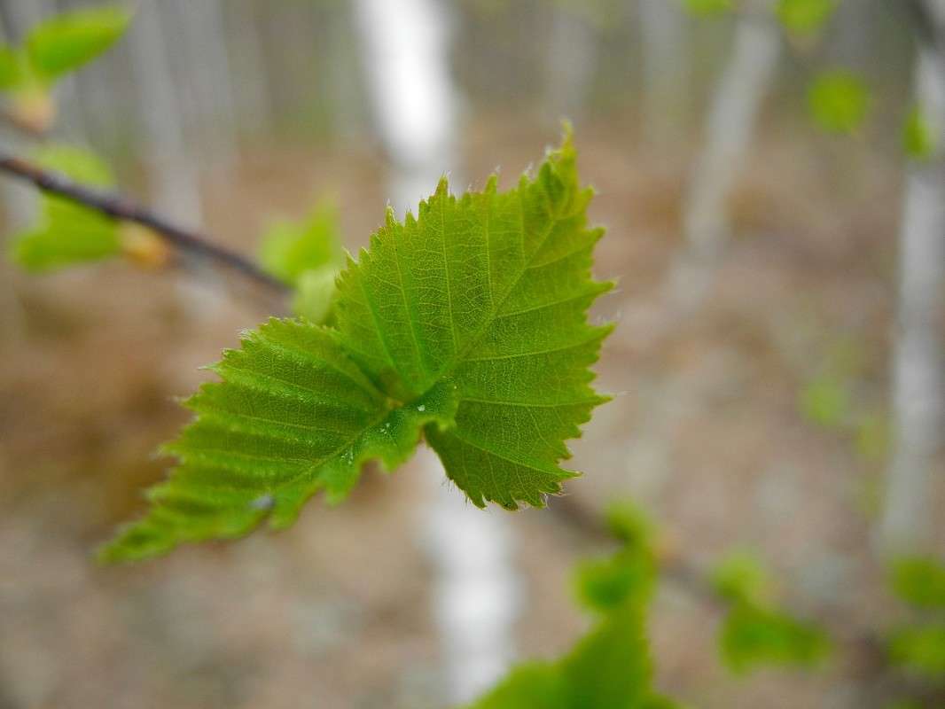 ... ����� S  �� PhotoGeek.ru #������ ��� �������