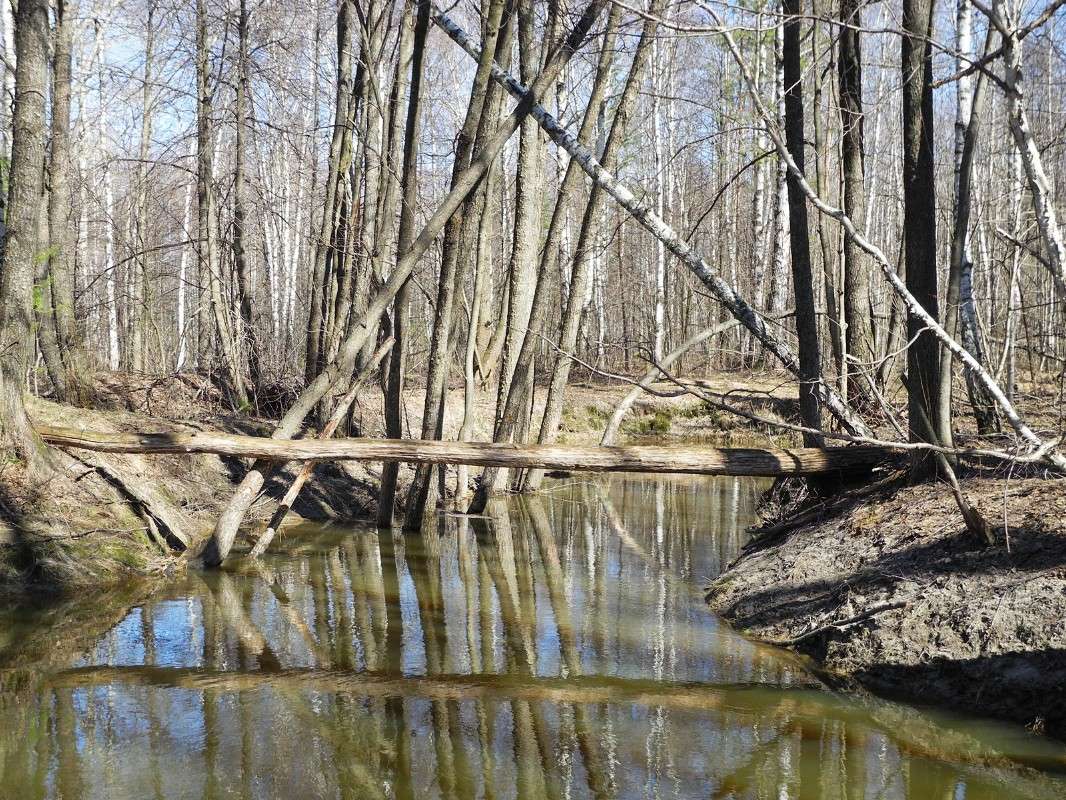 ������������ �����������.... ����� S  �� PhotoGeek.ru #������ ��� �������