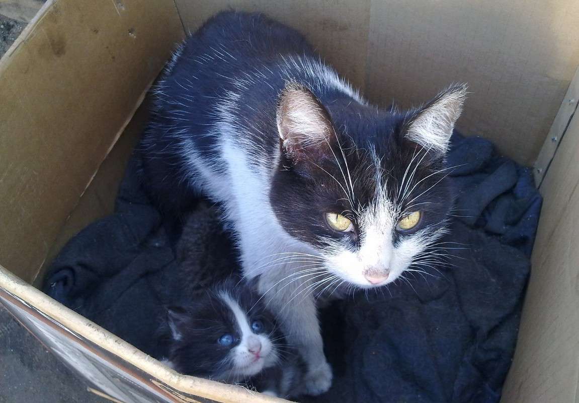 ���� ����� S  �� PhotoGeek.ru #�������� ���