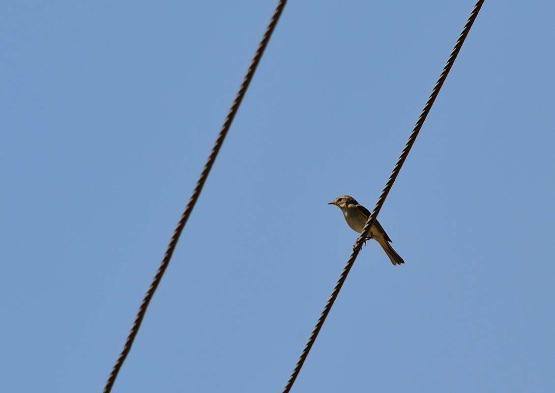 �� ��������.. ����� S  �� PhotoGeek.ru #�������� ��� #����� ��� ��� ���������