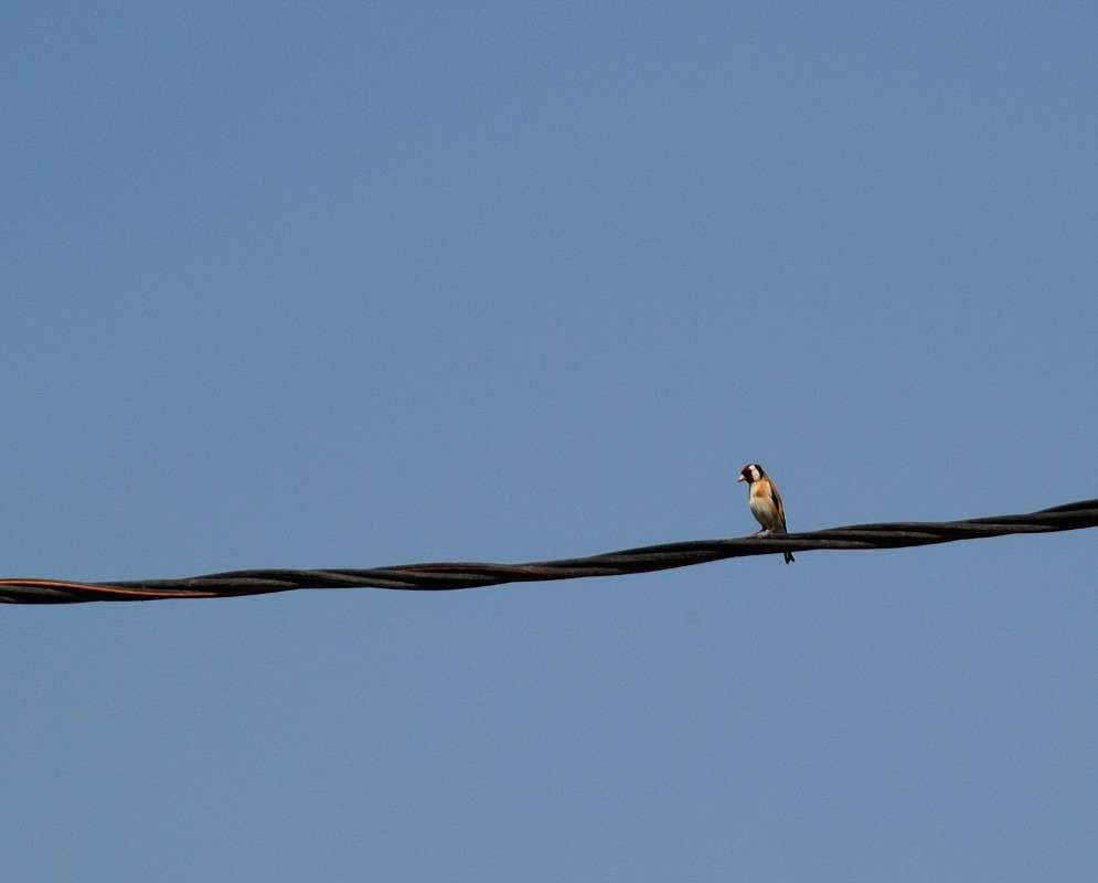 ... ����� S  �� PhotoGeek.ru #�������� ���