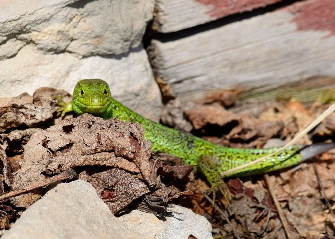 ... ����� S  �� PhotoGeek.ru #�������� ���