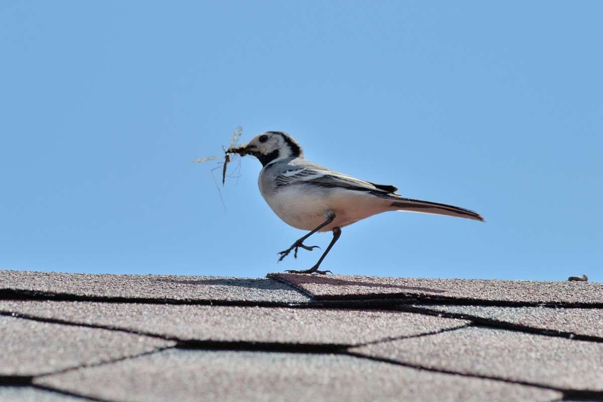 ... ����� S  �� PhotoGeek.ru #�������� ���