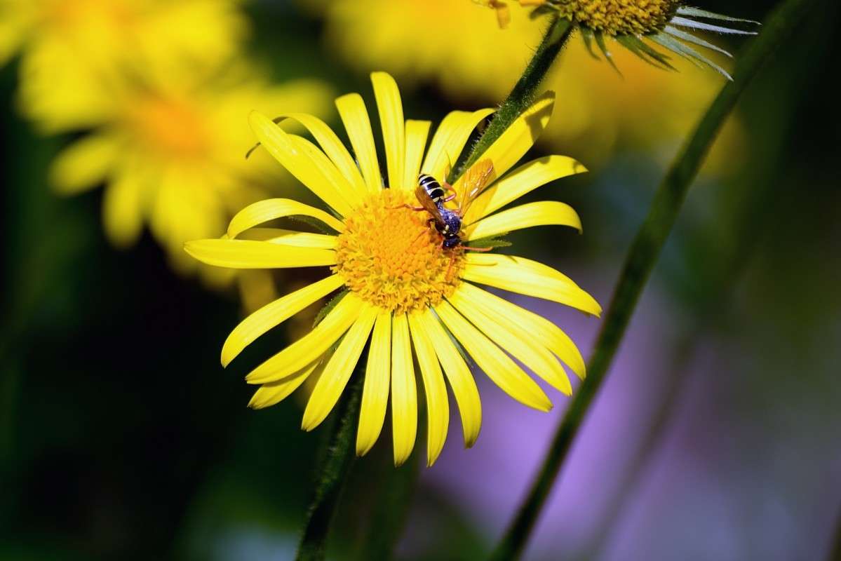 ������� �� �������.... ����� S  �� PhotoGeek.ru #�������� ���