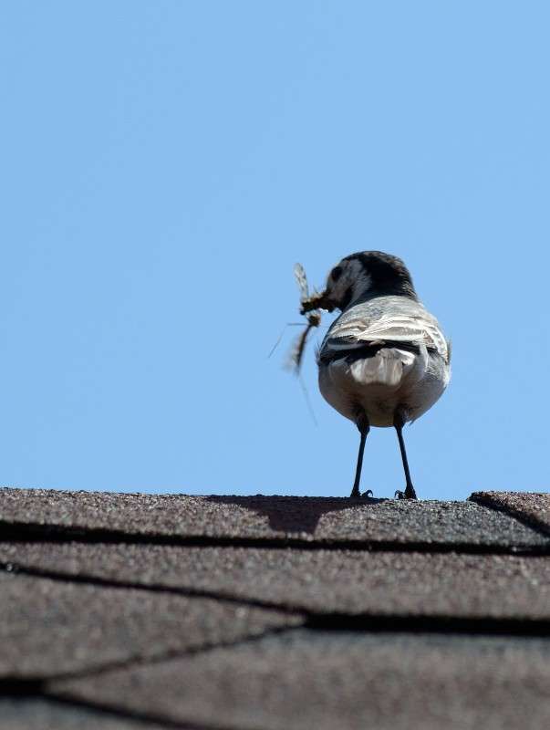 ���... ����� S  �� PhotoGeek.ru #�������� ��� #����� ��� ��� ���������