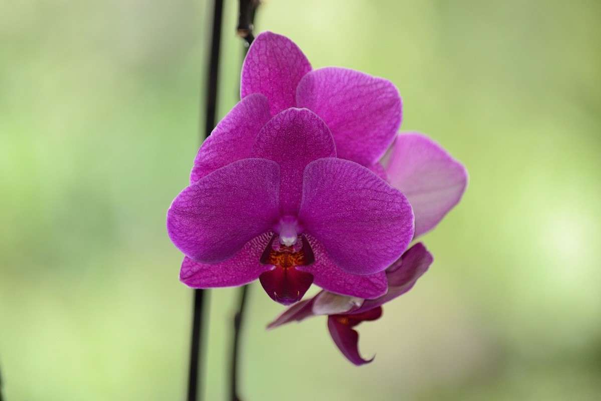 ... ����� S  �� PhotoGeek.ru #������ ��� ������� #����� ��������������