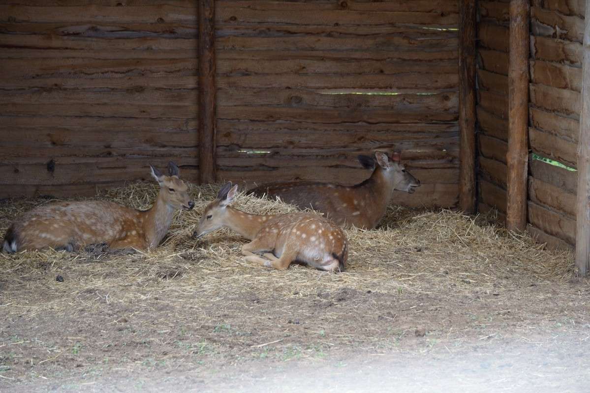 ��� ����� � �����.... ����� S  �� PhotoGeek.ru #�������� ���