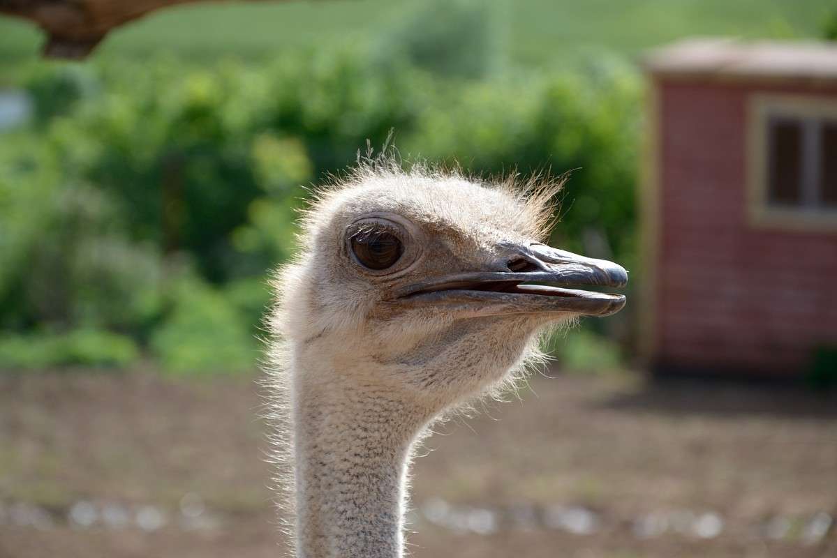 � ������ �����... ����� S  �� PhotoGeek.ru #�������� ���