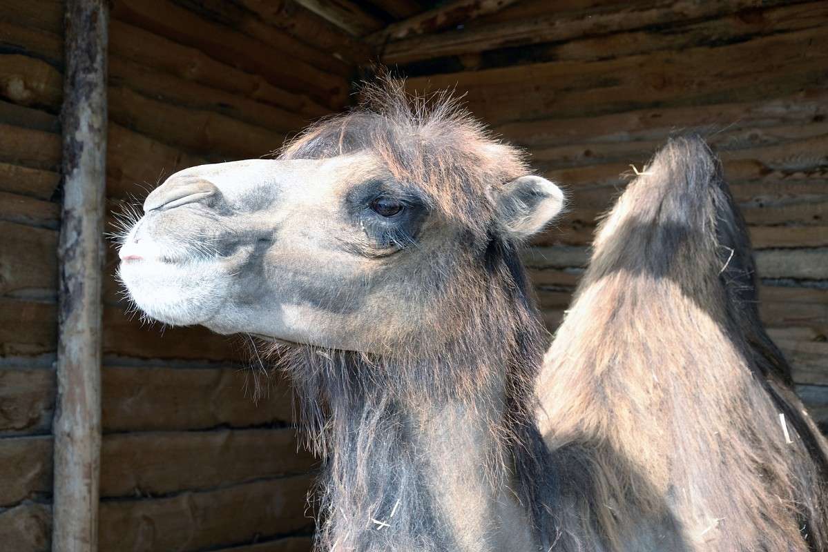 ���� (��� ���� ����) ����� S  �� PhotoGeek.ru #�������� ���