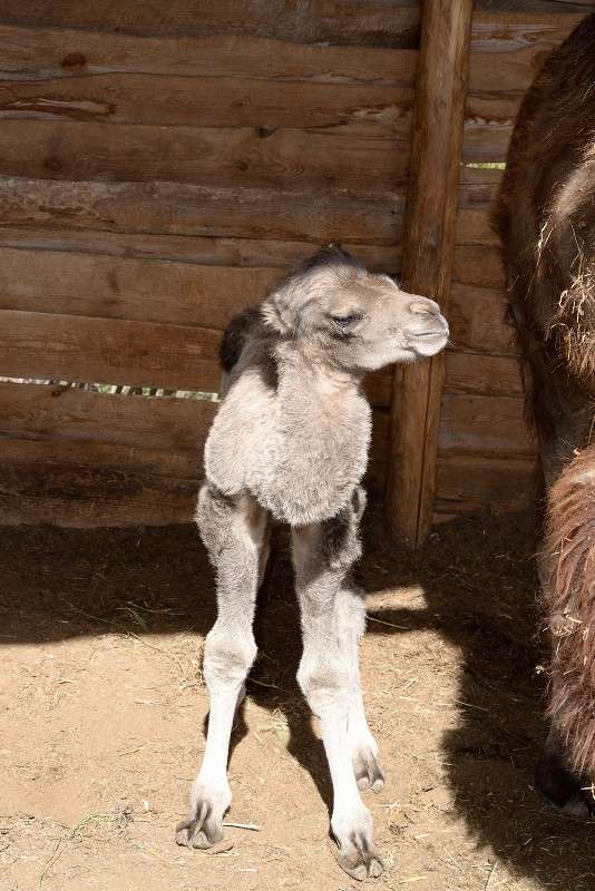 ����� (������� 2 ���) ����� S  �� PhotoGeek.ru #�������� ���