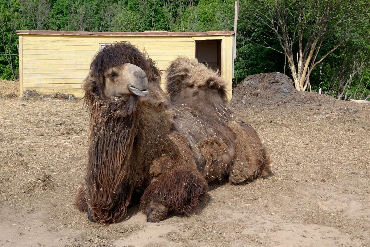 ���� - ���� ����� S  �� PhotoGeek.ru #�������� ���