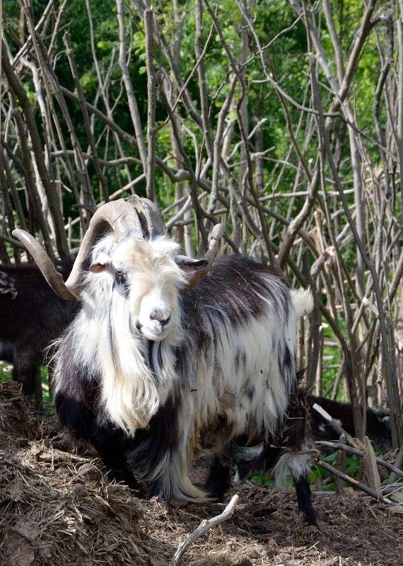 ����� ������ :) ����� S  �� PhotoGeek.ru #�������� ���