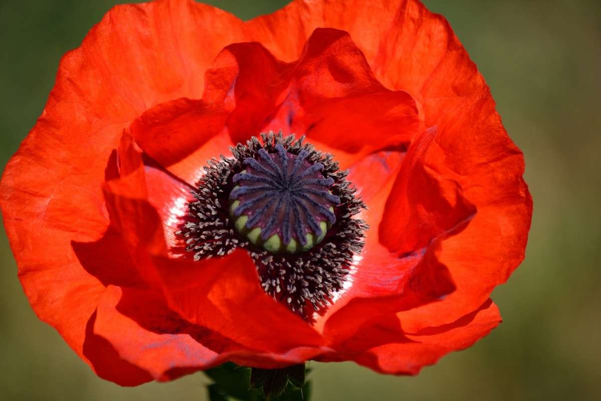 ... ����� S  �� PhotoGeek.ru #������ ��� ������� #����� ��������������