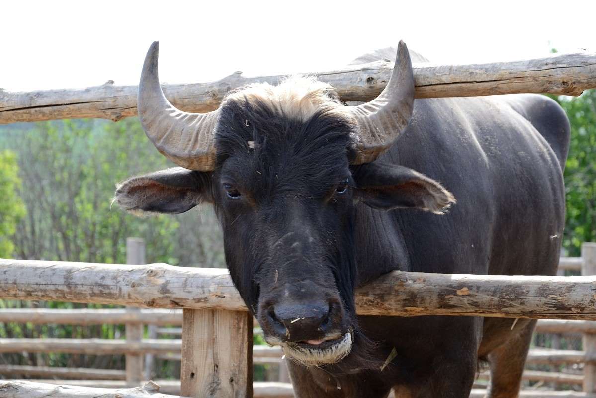 Chicago :)) ����� S  �� PhotoGeek.ru #�������� ���